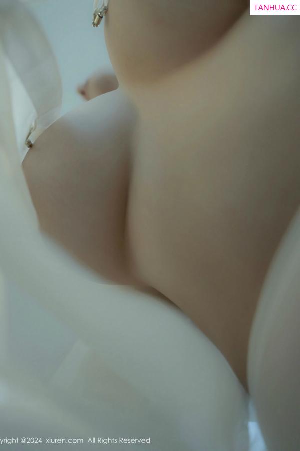 袁圆  [XiuRen]高清写真图 2024.12.27 No.9667 袁圆 丝袜美臀第33张图片